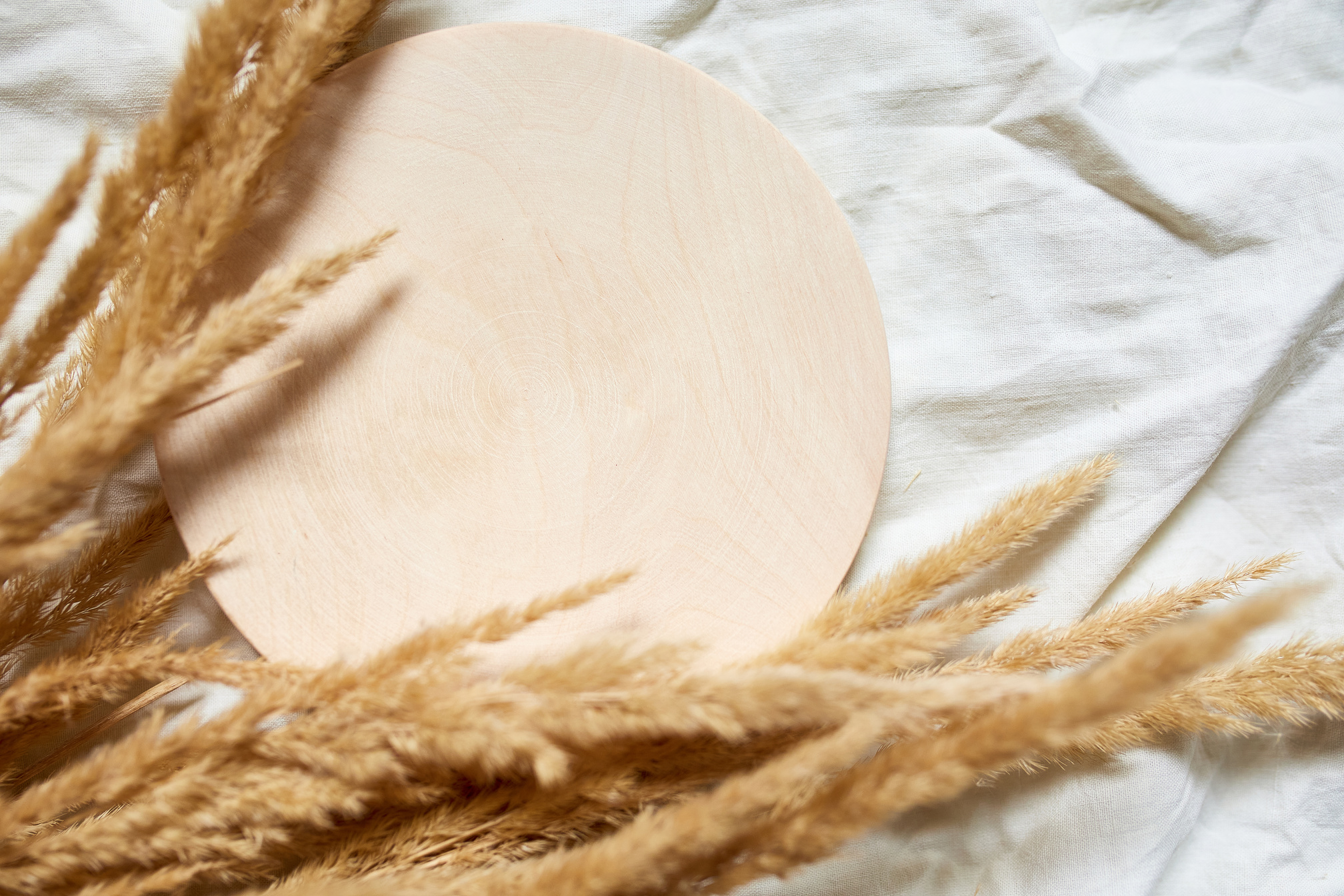 Flat lay of beige reeds pampas grass on the white textile linen tablecloth background